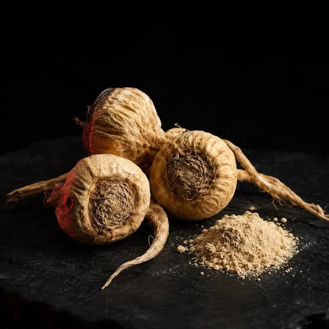 Maca gyökerek és maca por sötét kövön